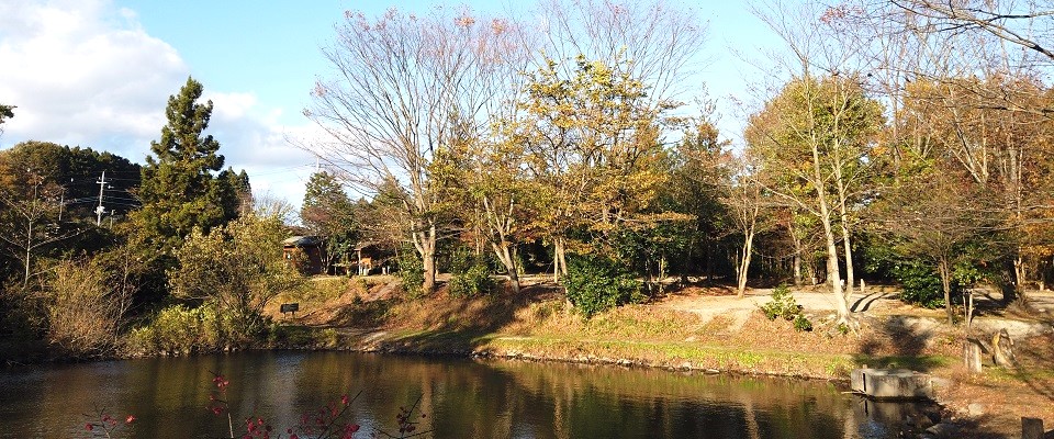 ホリデーキャンプ